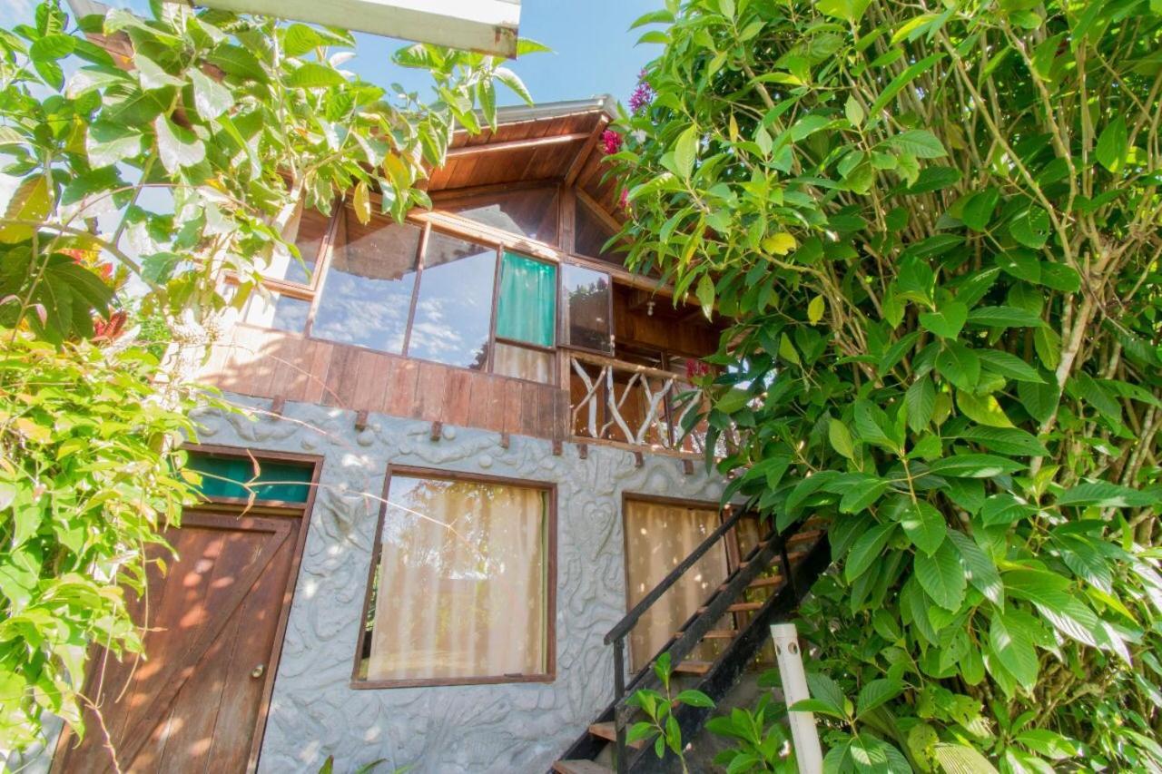 Hosteria Los Cedros De Mindo Exterior photo